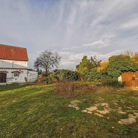 Apartment In Herrenhaus Gross Pinnow Exterior foto